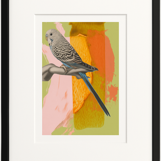 Framed Cheekadee Print